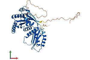 AlphaFold protein structure predicition of Mouse Recombinant Rragb Protein, UniprotID Q6NTA4