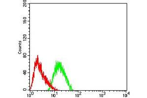 Flow cytometric analysis of SH-SY5Y cells using GRM3 mouse mAb (green) and negative control (red).