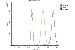 Flow Cytometry analysis of HepG2 cells using anti-Aurora A/AURKA antibody (ABIN7600751). (Aurora A anticorps  (AA 23-403))