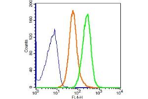 293T cells probed with GADD34 Polyclonal Antibody, ALEXA FLUOR® 647 Conjugated (bs-10287R-A647) at 1:100 for 30 minutes compared to control cells (blue) and isotype control (orange).