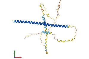AlphaFold protein structure predicition of Human Recombinant ATF5 Protein, UniprotID Q9Y2D1