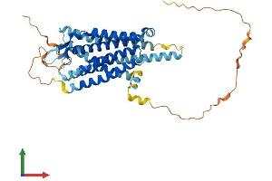 AlphaFold protein structure predicition of Mouse Recombinant Kiss1r Protein, UniprotID Q91V45
