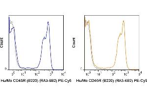 C57Bl/6 splenocytes were stained with 0.