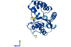 AlphaFold protein structure predicition of Mouse Recombinant Ak4 Protein, UniprotID Q9WUR9