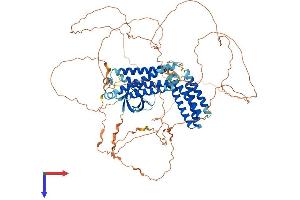 AlphaFold protein structure predicition of Mouse Recombinant Cass4 Protein, UniprotID Q08EC4