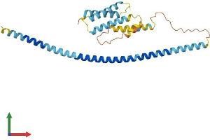 AlphaFold protein structure predicition of Human Recombinant USE1 Protein, UniprotID Q9NZ43