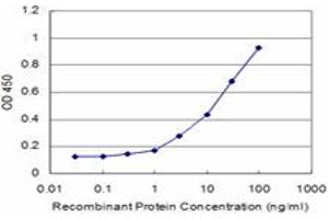 Detection limit for recombinant GST tagged EIF2AK2 is approximately 0.