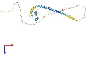AlphaFold protein structure predicition of Mouse Recombinant Reep4 Protein, UniprotID Q8K072