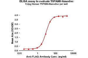Elisa plates were pre-coated with Flag Tag TS-Nanodisc (0.