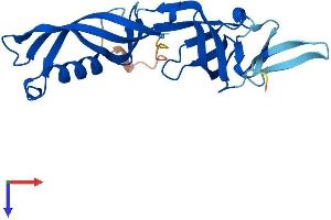 AlphaFold protein structure predicition of Mouse Recombinant Polr3h Protein, UniprotID Q9D2C6