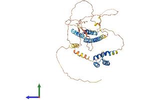AlphaFold protein structure predicition of Mouse Recombinant Pknox1 Protein, UniprotID O70477