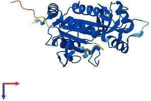 AlphaFold protein structure predicition of Mouse Recombinant Mtap Protein, UniprotID Q9CQ65