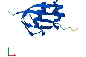 AlphaFold protein structure predicition of Human Recombinant MOCS2 Protein, UniprotID O96033