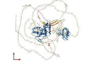 AlphaFold protein structure predicition of Human Recombinant SENP7 Protein, UniprotID Q9BQF6