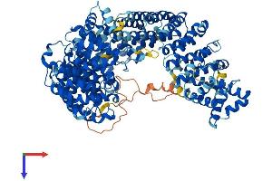 AlphaFold protein structure predicition of Mouse Recombinant Ipo8 Protein, UniprotID Q7TMY7