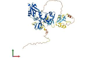 AlphaFold protein structure predicition of Mouse Recombinant Nherf4 Protein, UniprotID Q99MJ6