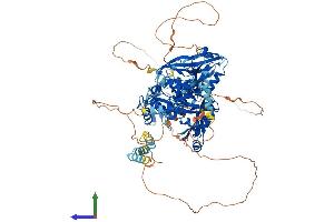 AlphaFold protein structure predicition of Mouse Recombinant Dlg1 Protein, UniprotID Q811D0