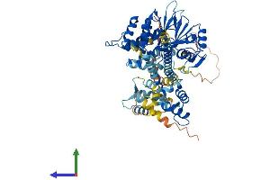 AlphaFold protein structure predicition of Human Recombinant PPEF1 Protein, UniprotID O14829