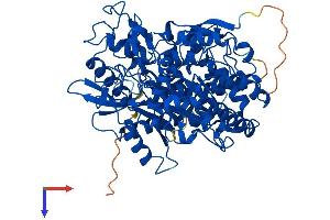 AlphaFold protein structure predicition of Mouse Recombinant Gclc Protein, UniprotID P97494
