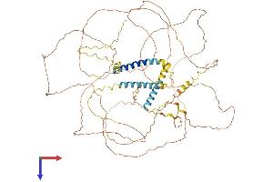 AlphaFold protein structure predicition of Human Recombinant TRDN Protein, UniprotID Q13061