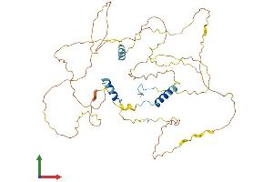 AlphaFold protein structure predicition of Human Recombinant GPBP1L1 Protein, UniprotID Q9HC44
