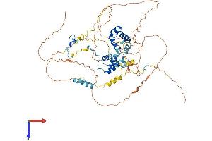 AlphaFold protein structure predicition of Human Recombinant MIER3 Protein, UniprotID Q7Z3K6