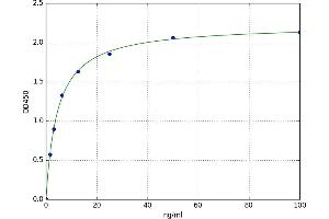 Complement Fragment C4a (C4a) ELISA Kit