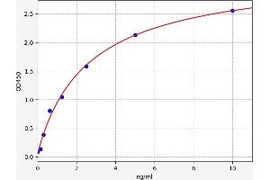 Typical standard curve (PUMA Kit ELISA)