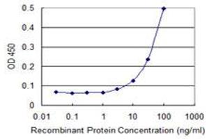 Detection limit for recombinant GST tagged ZNF167 is 3 ng/ml as a capture antibody.
