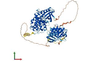AlphaFold protein structure predicition of Mouse Recombinant Plk3 Protein, UniprotID Q60806