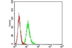 Flow cytometric analysis of Hela cells using SYK mouse mAb (green) and negative control (red).