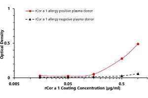 ELISA (enzyme-linked immunosorbent assay) test was designed to prove the bond between the coated target recombinant allergen rCor a 1 and allergen-specific human plasma IgG4 antibodies of Corylus avellana positive donor.
