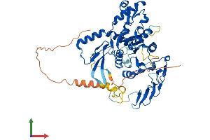 AlphaFold protein structure predicition of Human Recombinant ZCCHC4 Protein, UniprotID Q9H5U6