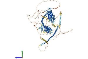 AlphaFold protein structure predicition of Mouse Recombinant Rpgrip1 Protein, UniprotID Q9EPQ2