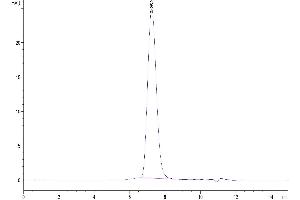 The purity of Human B7-2 is greater than 95 % as determined by SEC-HPLC.