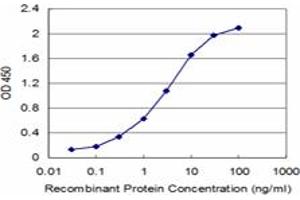 Detection limit for recombinant GST tagged CBS is approximately 0. (CBS anticorps  (AA 1-100))