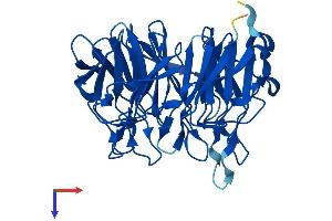 AlphaFold protein structure predicition of Human Recombinant KLHDC8A Protein, UniprotID Q8IYD2