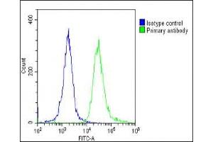 Overlay histogram showing HeLa cells stained with (ABIN6244022 and ABIN6578804)(green line).