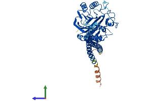 AlphaFold protein structure predicition of Mouse Recombinant Smpd2 Protein, UniprotID O70572