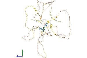 AlphaFold protein structure predicition of Human Recombinant BCAS1 Protein, UniprotID O75363