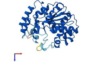 AlphaFold protein structure predicition of Mouse Recombinant Sult2a2 Protein, UniprotID P50236