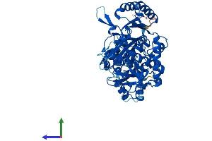 AlphaFold protein structure predicition of Mouse Recombinant Flad1 Protein, UniprotID Q8R123