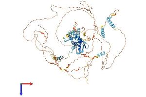 AlphaFold protein structure predicition of Mouse Recombinant E2f8 Protein, UniprotID Q58FA4