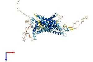 AlphaFold protein structure predicition of Human Recombinant SLC34A3 Protein, UniprotID Q8N130