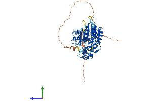 AlphaFold protein structure predicition of Human Recombinant TRMT5 Protein, UniprotID Q32P41