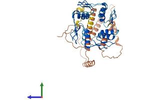 AlphaFold protein structure predicition of Human Recombinant ZFP1 Protein, UniprotID Q6P2D0 (Zfp-1 Protein (AA 1-407) (His tag))