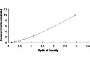 Typical standard curve (CCR10 Kit ELISA)
