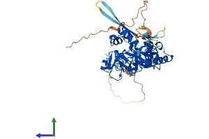 AlphaFold protein structure predicition of Mouse Recombinant Tes Protein, UniprotID P47226