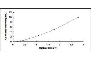 Typical standard curve (PLOD2 Kit ELISA)