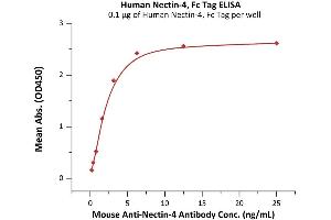 Immobilized Human Nectin-4, Fc Tag (ABIN6952253) at 1 μg/mL (100 μL/well) can bind Mouse An-4 Antibody with a linear range of 0.